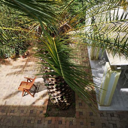B&B La Salamandra Kitchengarden Forio di Ischia Exteriér fotografie