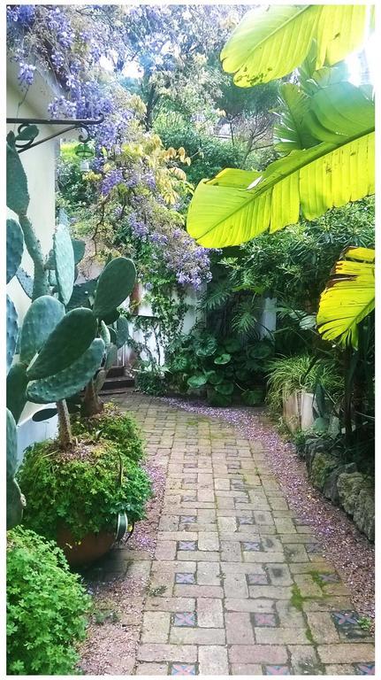 B&B La Salamandra Kitchengarden Forio di Ischia Exteriér fotografie