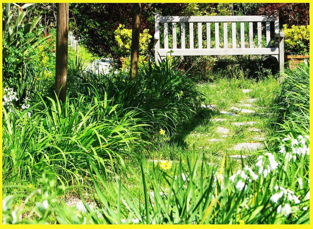B&B La Salamandra Kitchengarden Forio di Ischia Exteriér fotografie