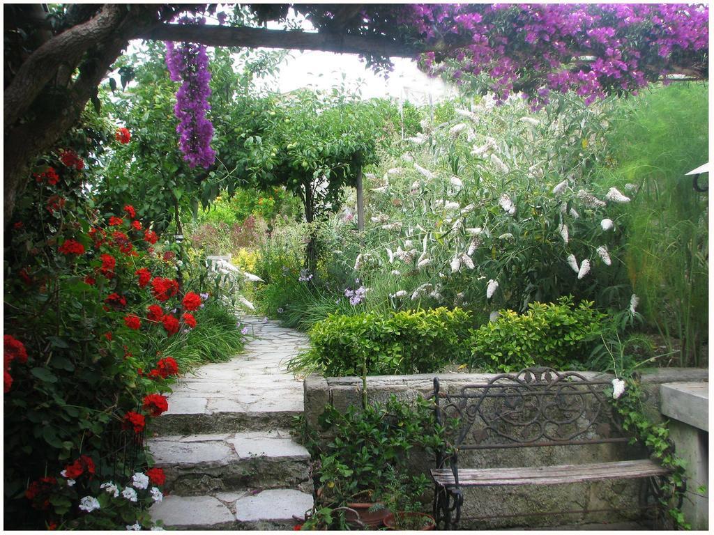 B&B La Salamandra Kitchengarden Forio di Ischia Exteriér fotografie