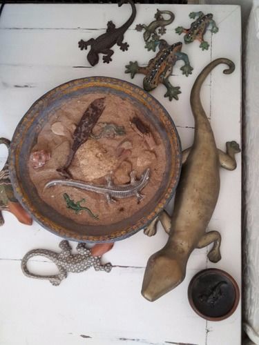 B&B La Salamandra Kitchengarden Forio di Ischia Exteriér fotografie