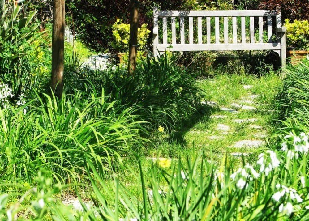 B&B La Salamandra Kitchengarden Forio di Ischia Exteriér fotografie