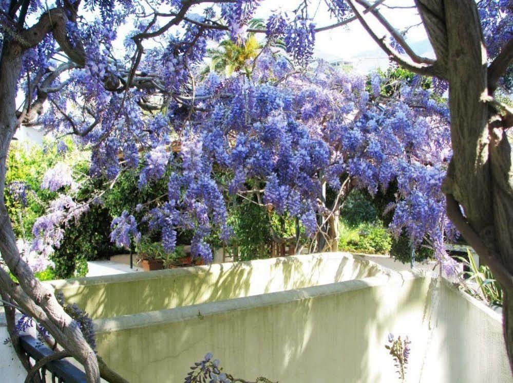 B&B La Salamandra Kitchengarden Forio di Ischia Exteriér fotografie