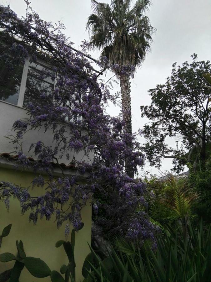 B&B La Salamandra Kitchengarden Forio di Ischia Exteriér fotografie